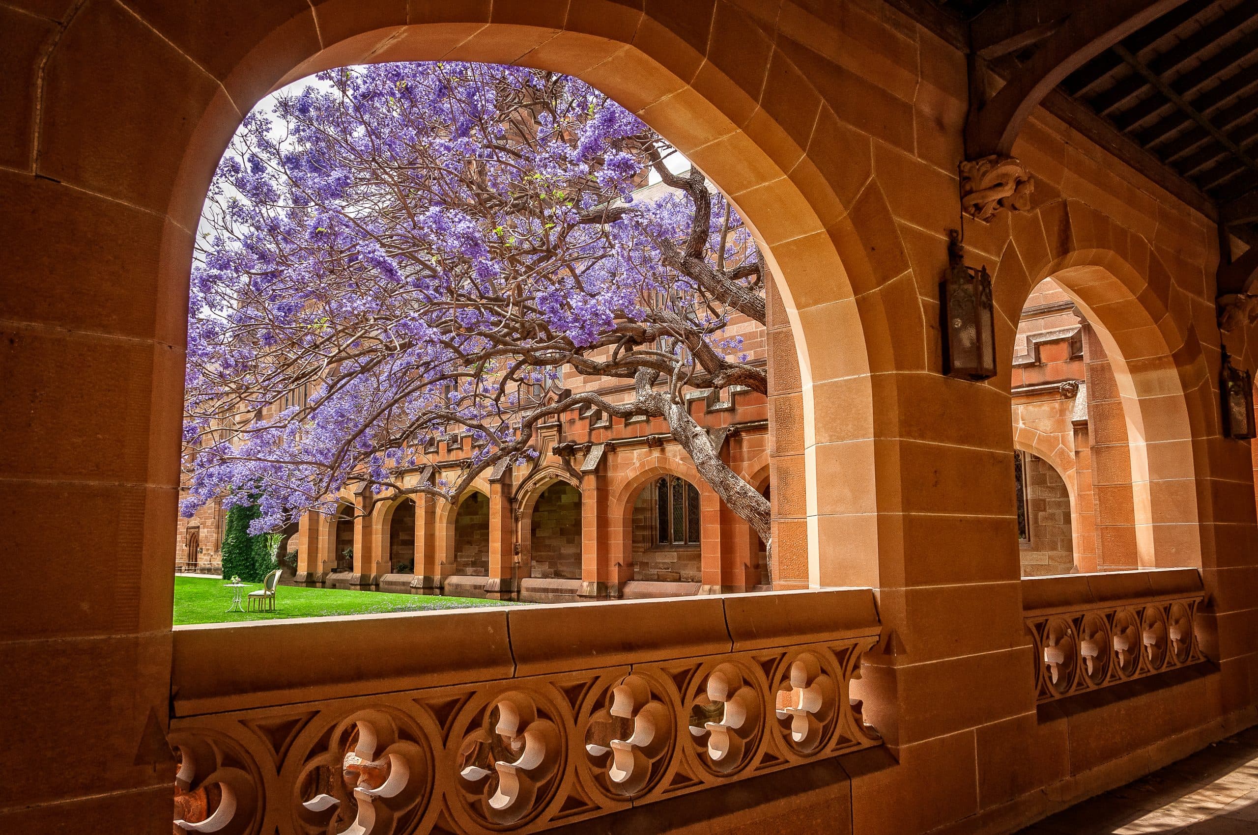 The Crisis in Australia’s Universities