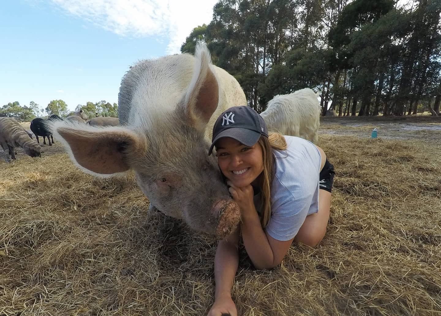 The Power of Disruptive Activism With Tash Peterson