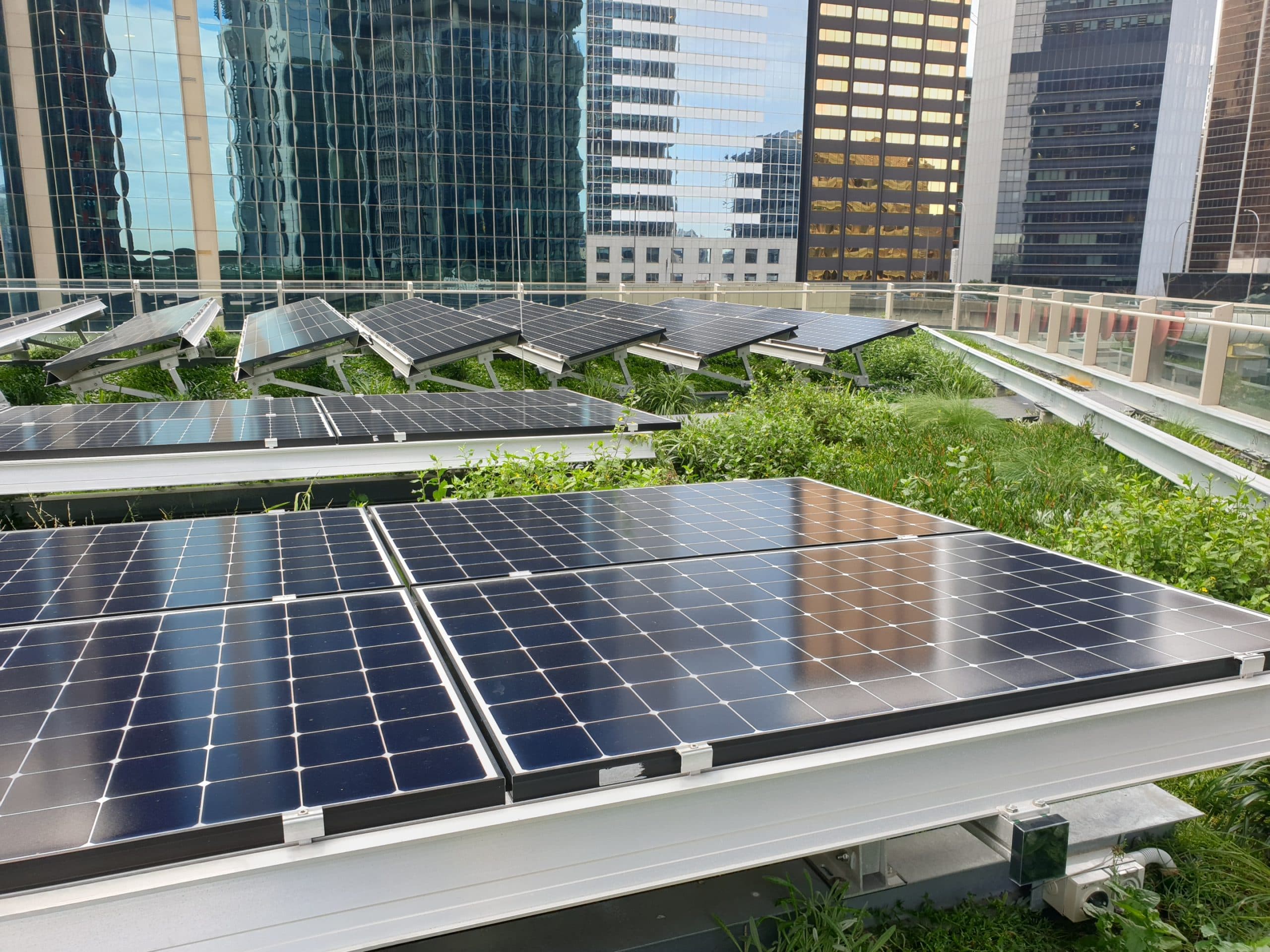 Green Roofs Boost Solar Power