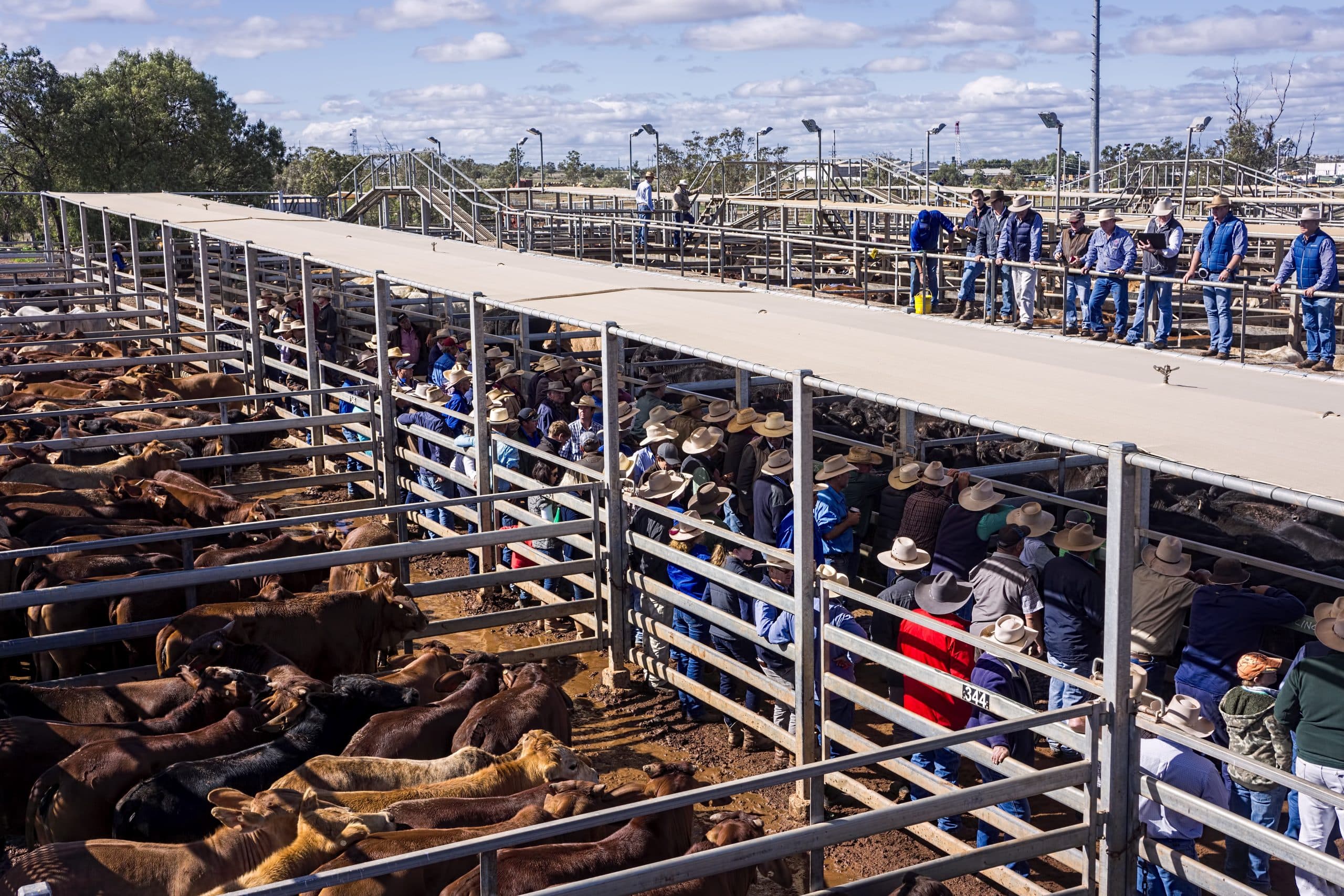 Rural Connection: Educating The Next Farming Generation