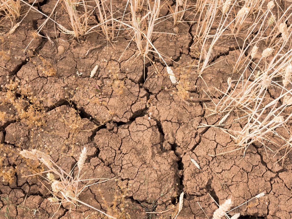 Heatwaves and the Indigenous community