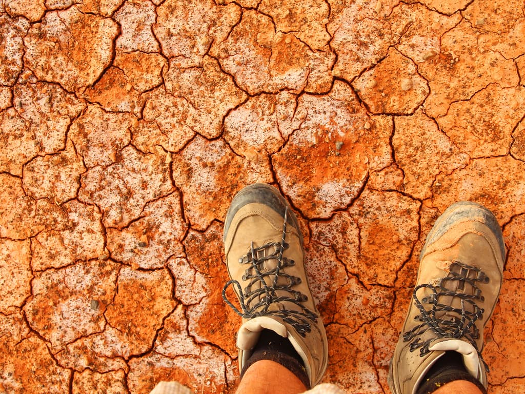 First Nations To The Front