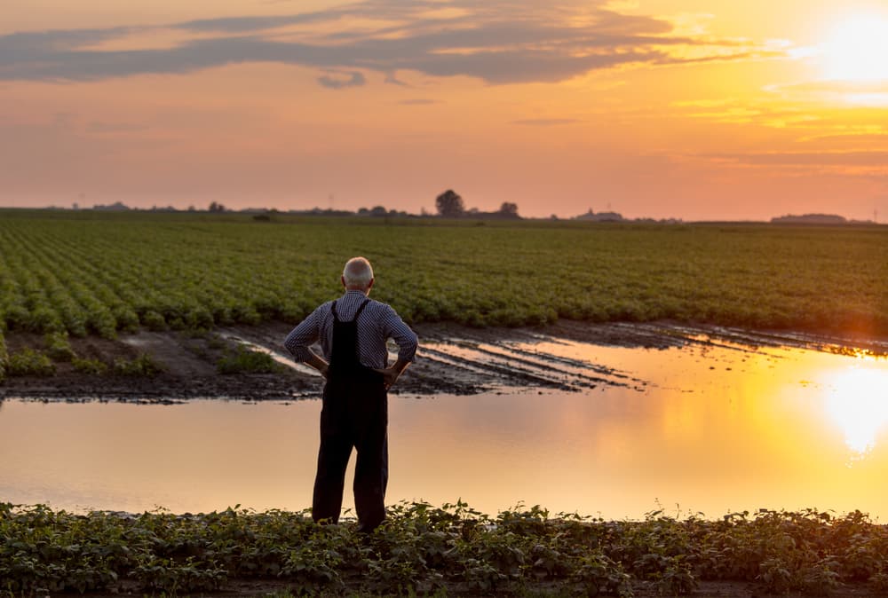 The Flooding Disaster for Farmers