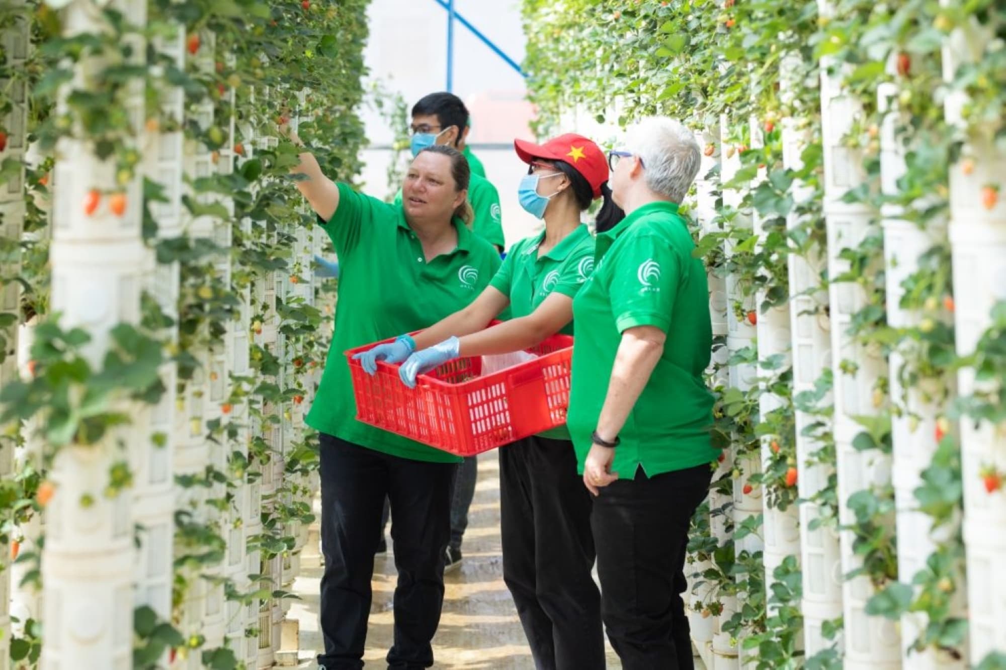 Australian Vietnamese Agritech Unicorn Flourishing