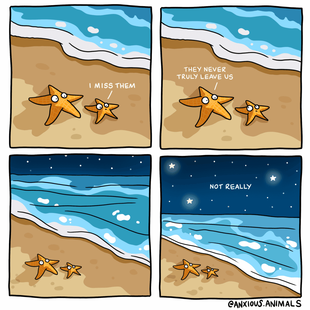 Artist Amee Wilson on her Sea Shepherd and Rewriting Extinction Collaboration