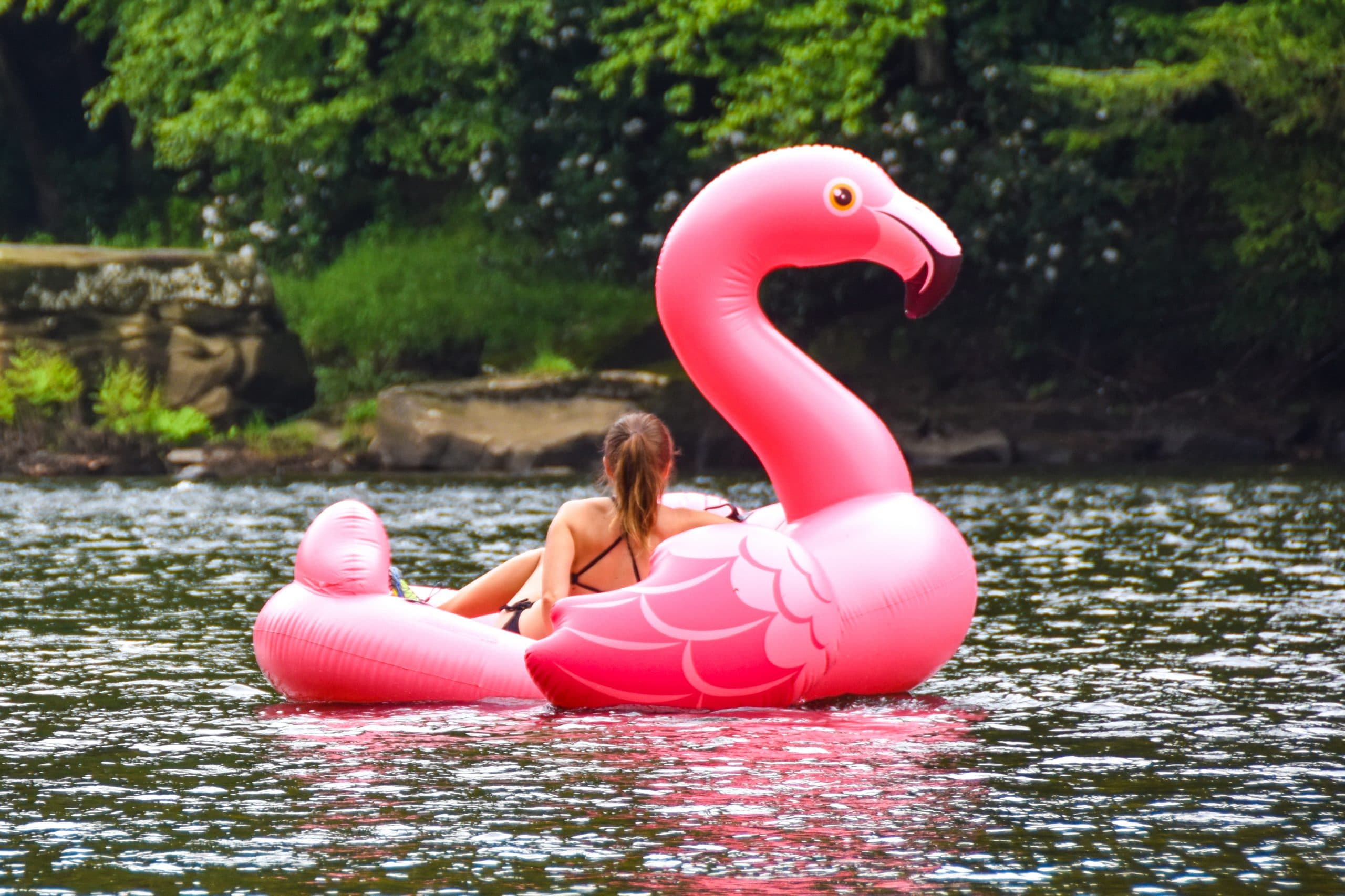 Is regional travel being affected by borders reopening?