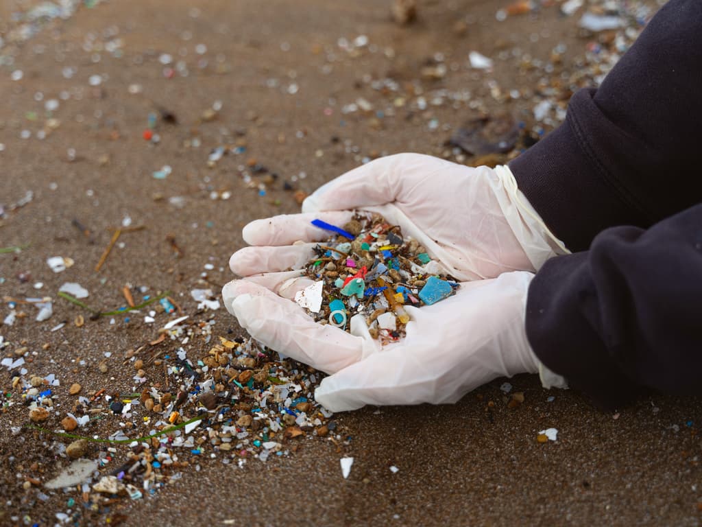 Australia’s worst beaches for microplastics mapped
