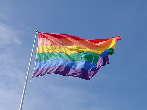 New resources to understand LGBTIQ+ with dementia
