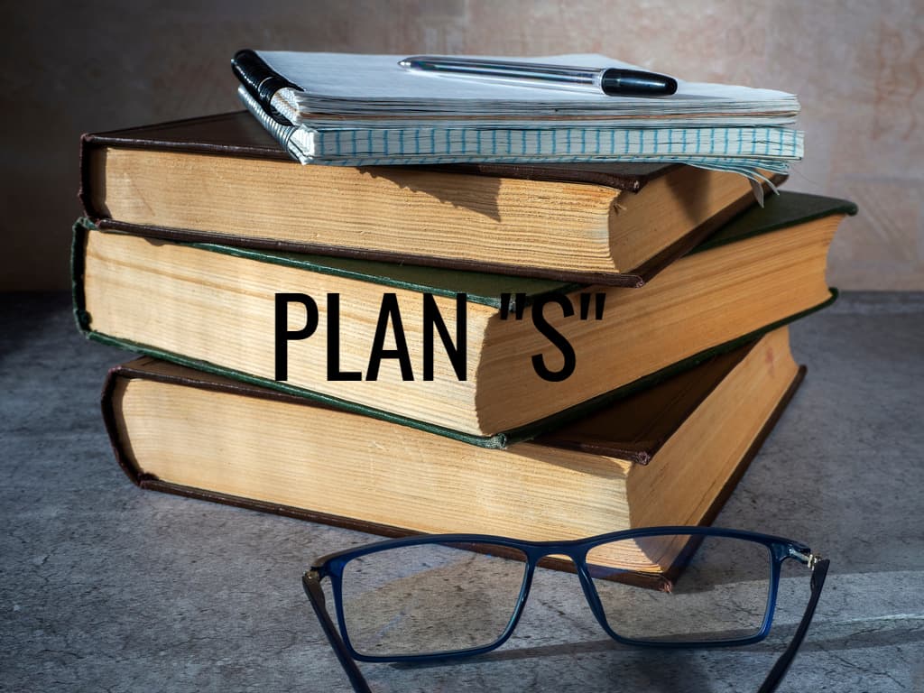 Plan “S”