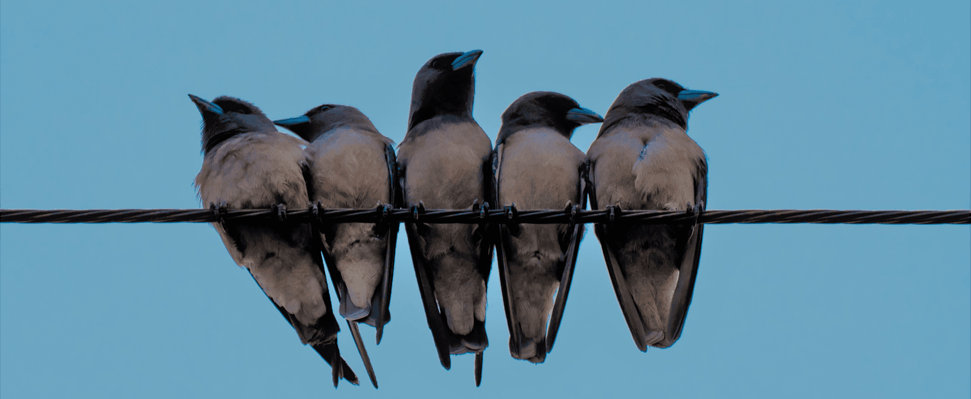 Welcome to “Originate”