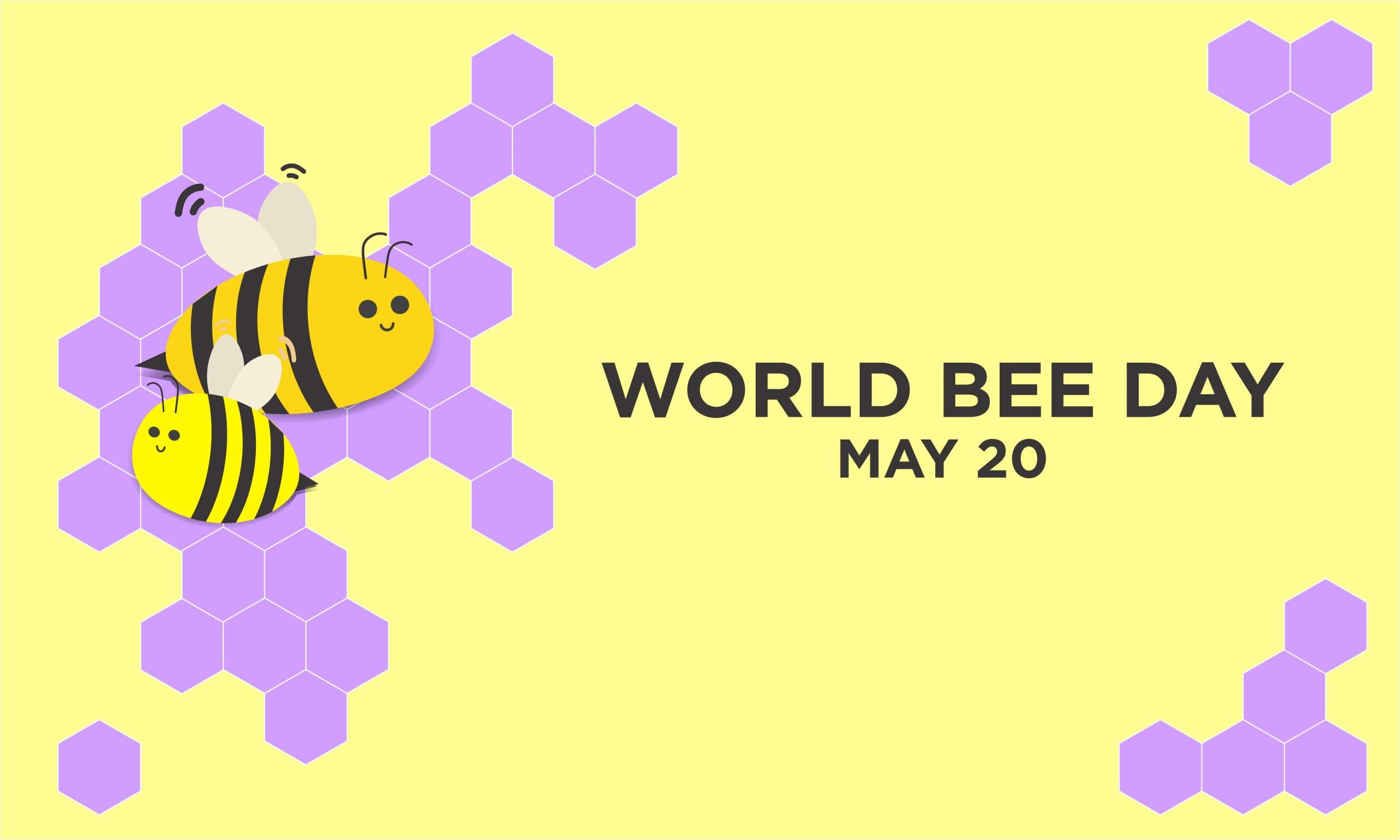 World Bee Day 2022