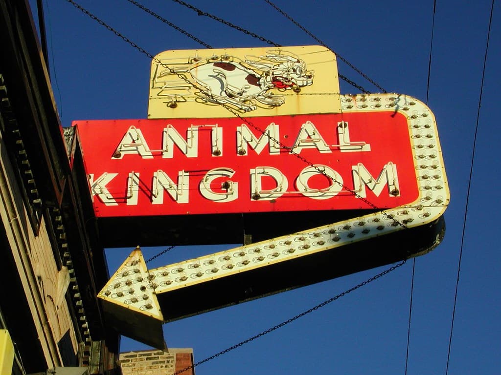 Holy roadrunner, listeners! Animals Are Evolving Quicker Than Thought