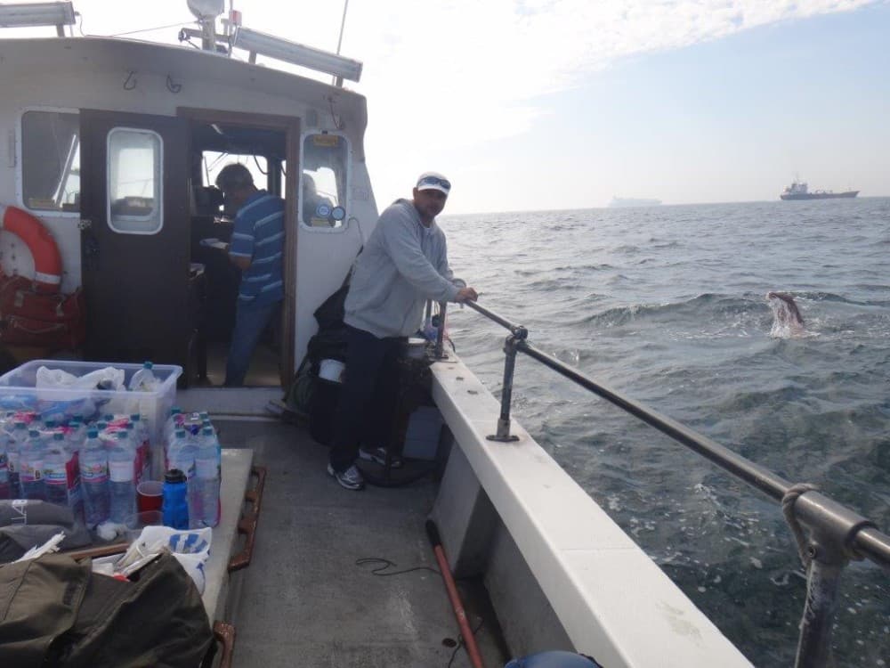 Marathon Ocean Swimming – Ocean Series Part 6