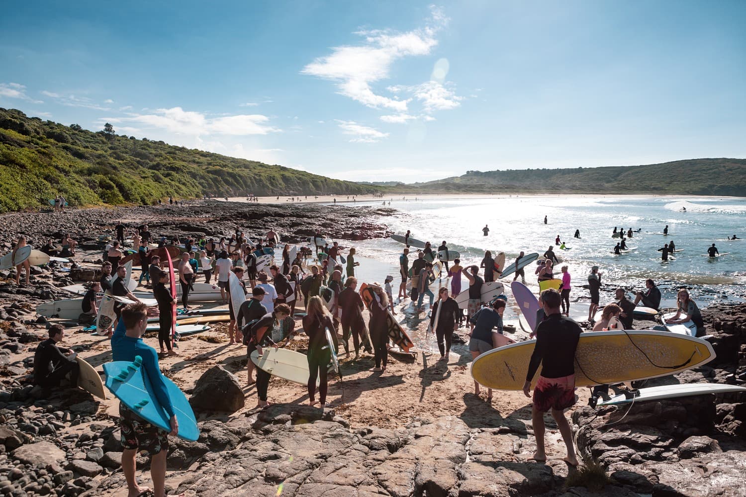 Killalea State Park is again protected by NSW government