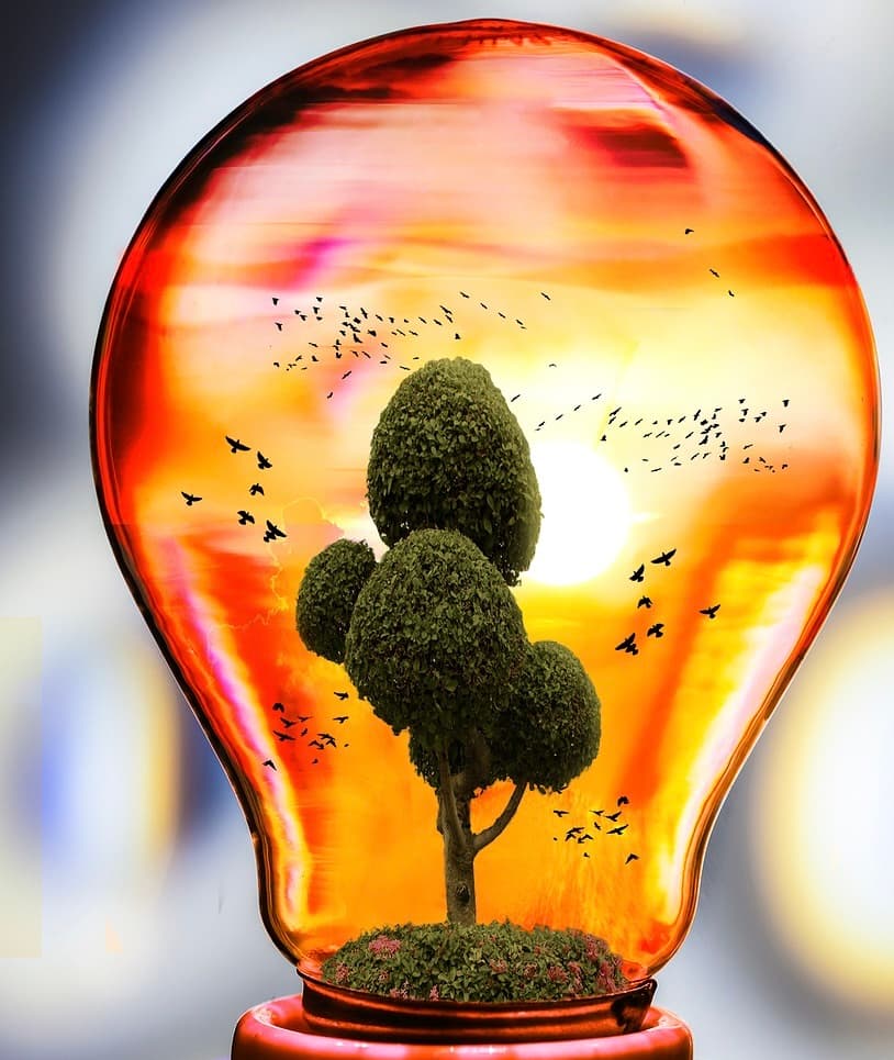 Enova’s green power legacy lives on