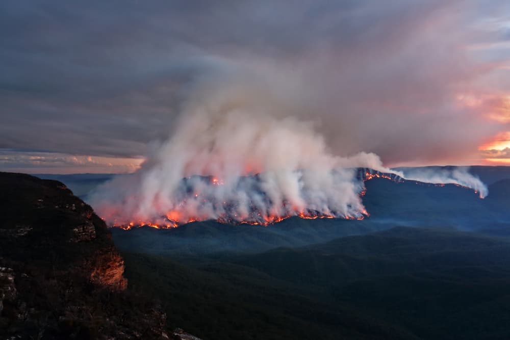 Could Cultural Burning Save Our Bush?