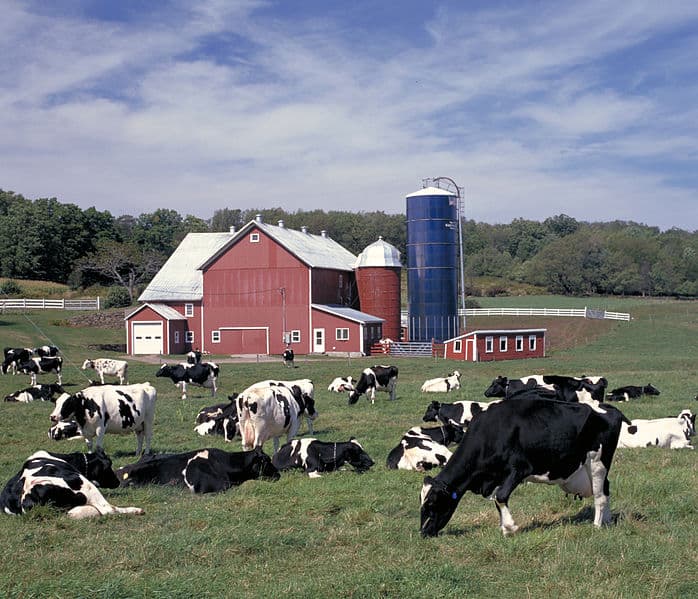 Small dairy companies leading sustainability path