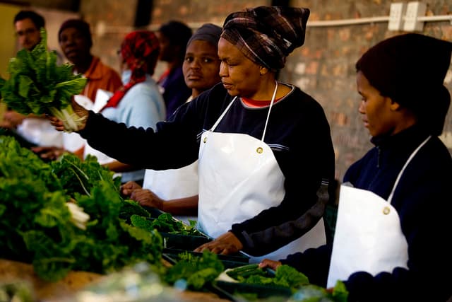 Tradition and science helping Pacific blue-green economies