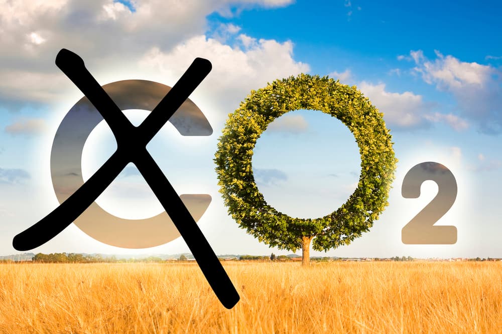 Greens reluctantly agree to Labor emissions target legislation