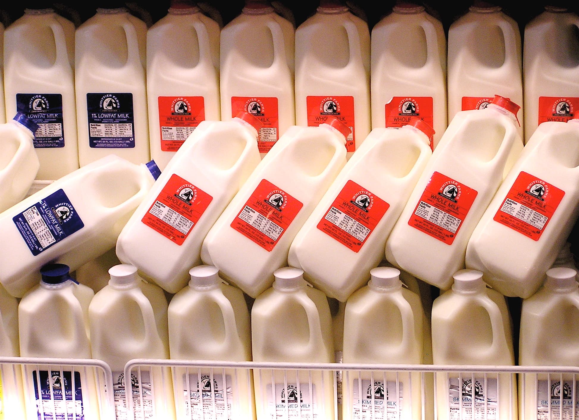 Would you pay for synthetic milk?