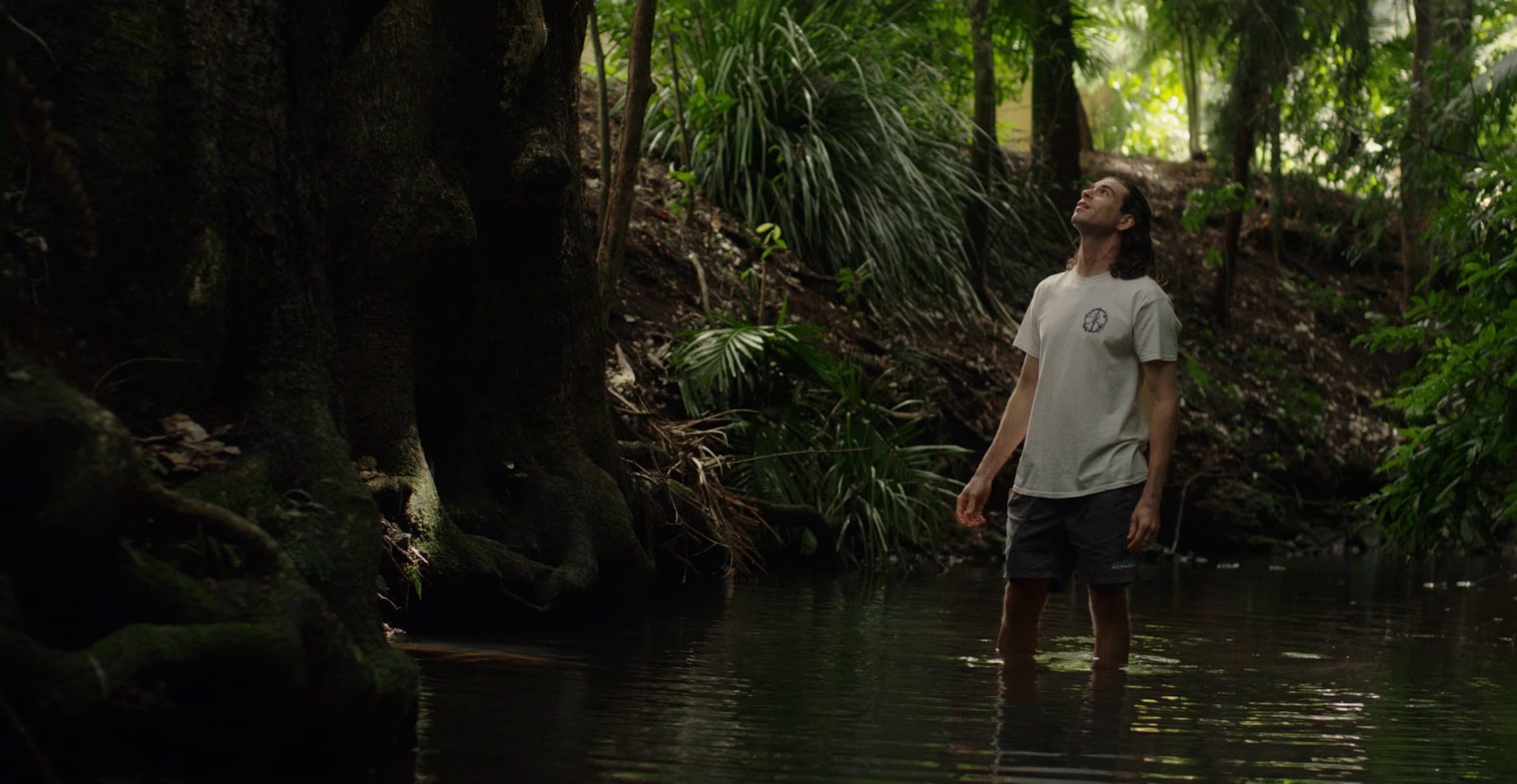 In Hearts Wake on Touring Sustainably and “Green Is The New Black”