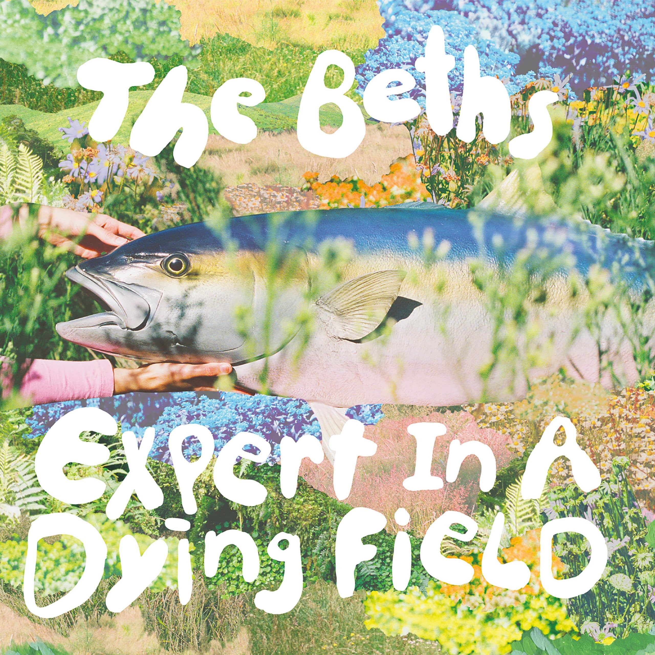 The Beth’s New Album – Expert in a Dying Field