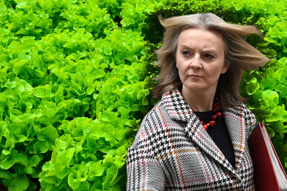 Salad days over for UK PM Liz Truss