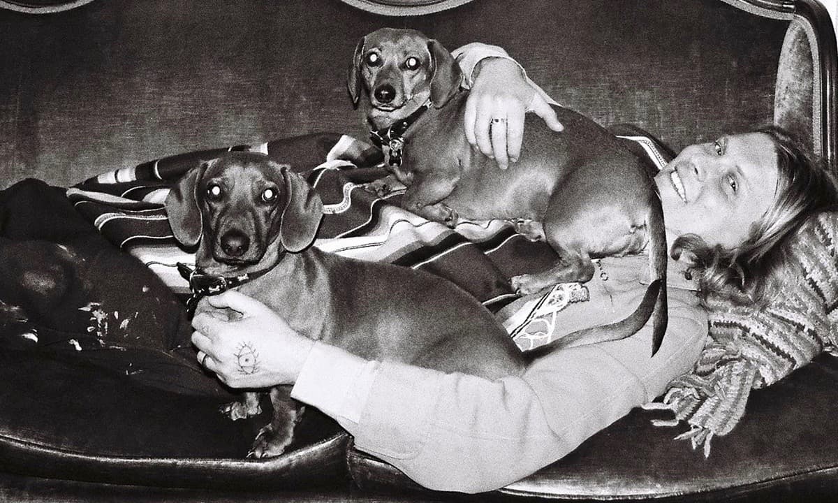 Say Hello, Hi to Ty Segall