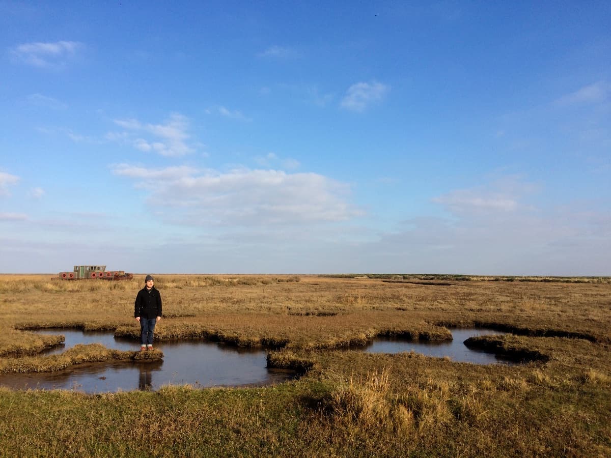 Lost and Found with The Nethered