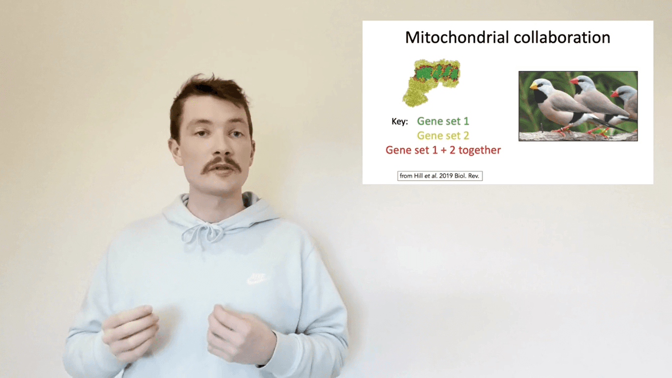 The Genetic Collaboration That Powers You – 3MT