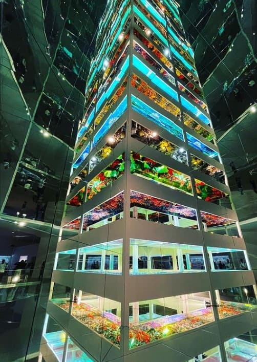 Sydney Modern throws the spotlight on First Nations voices