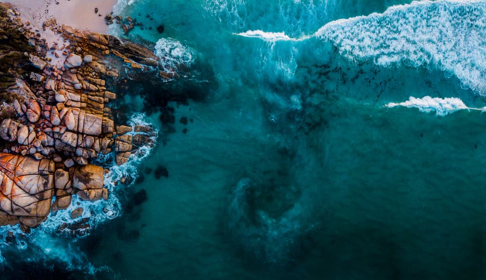 Waynes 4 X 2: Women Talking, The Land The Water The Sky and MORE!