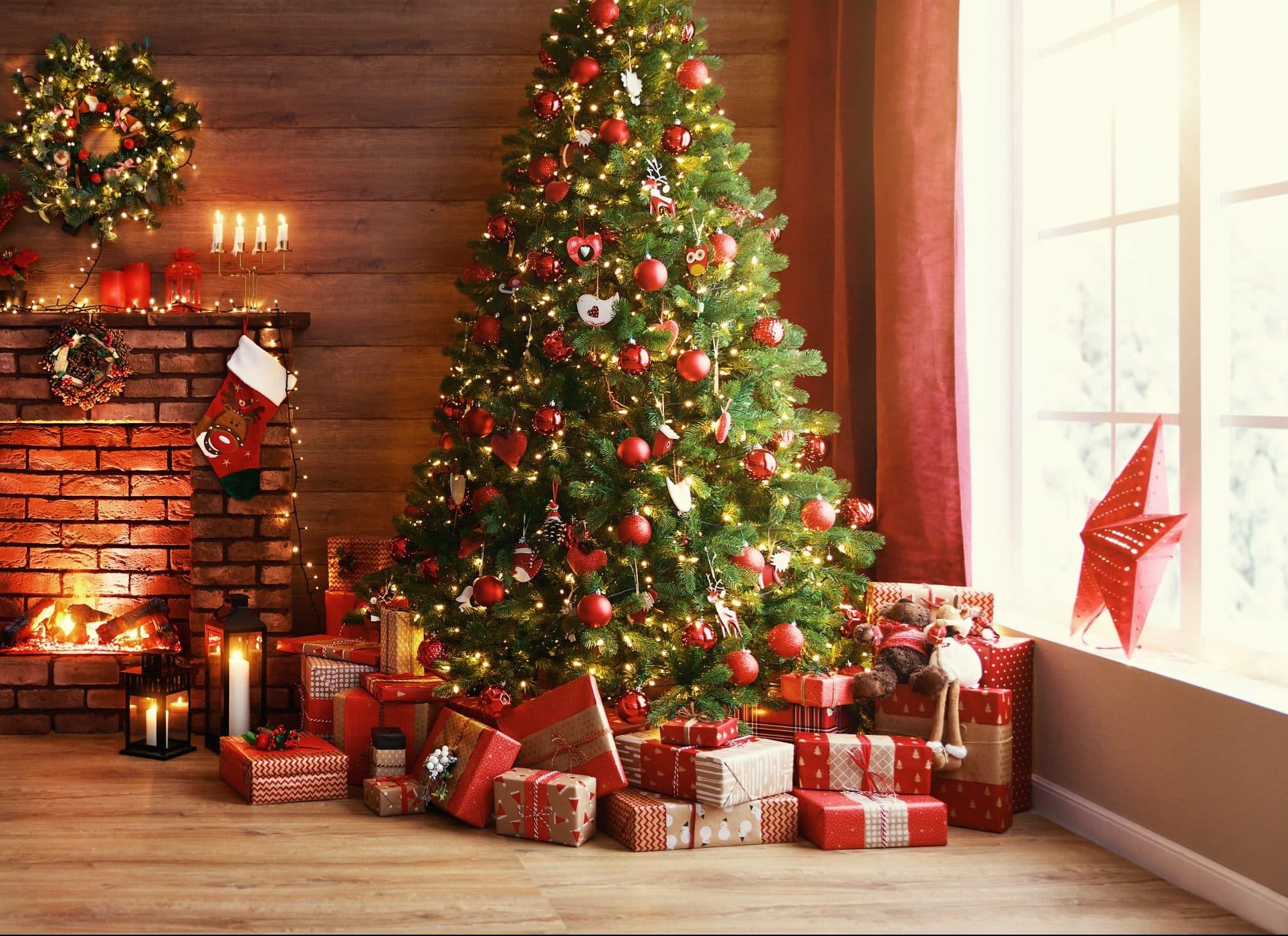 Secret History of Christmas Trees