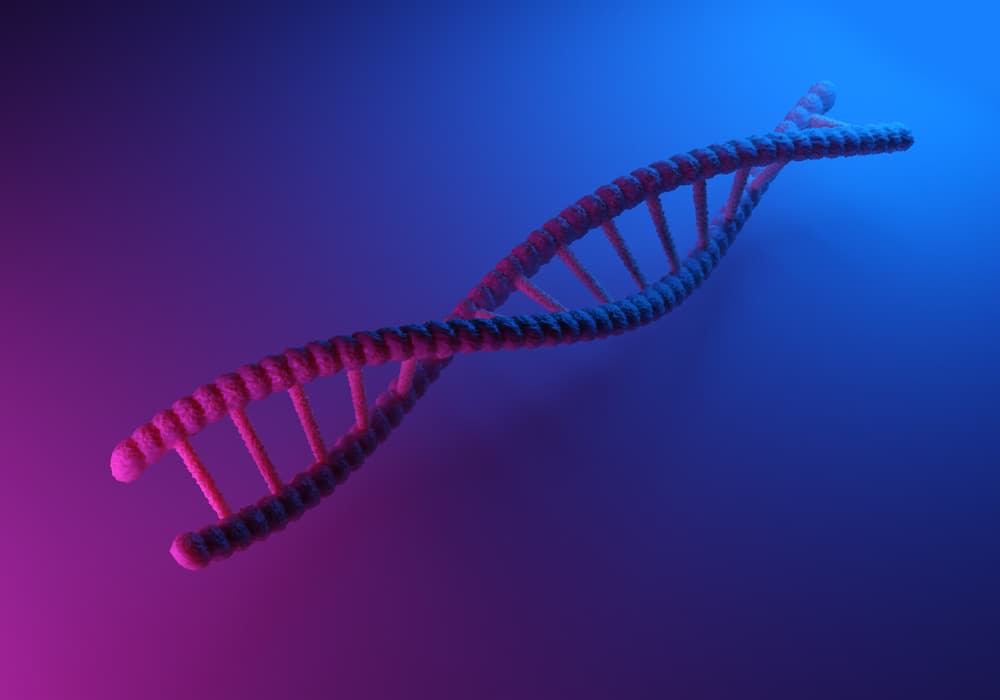 Oldest DNA Ever Found