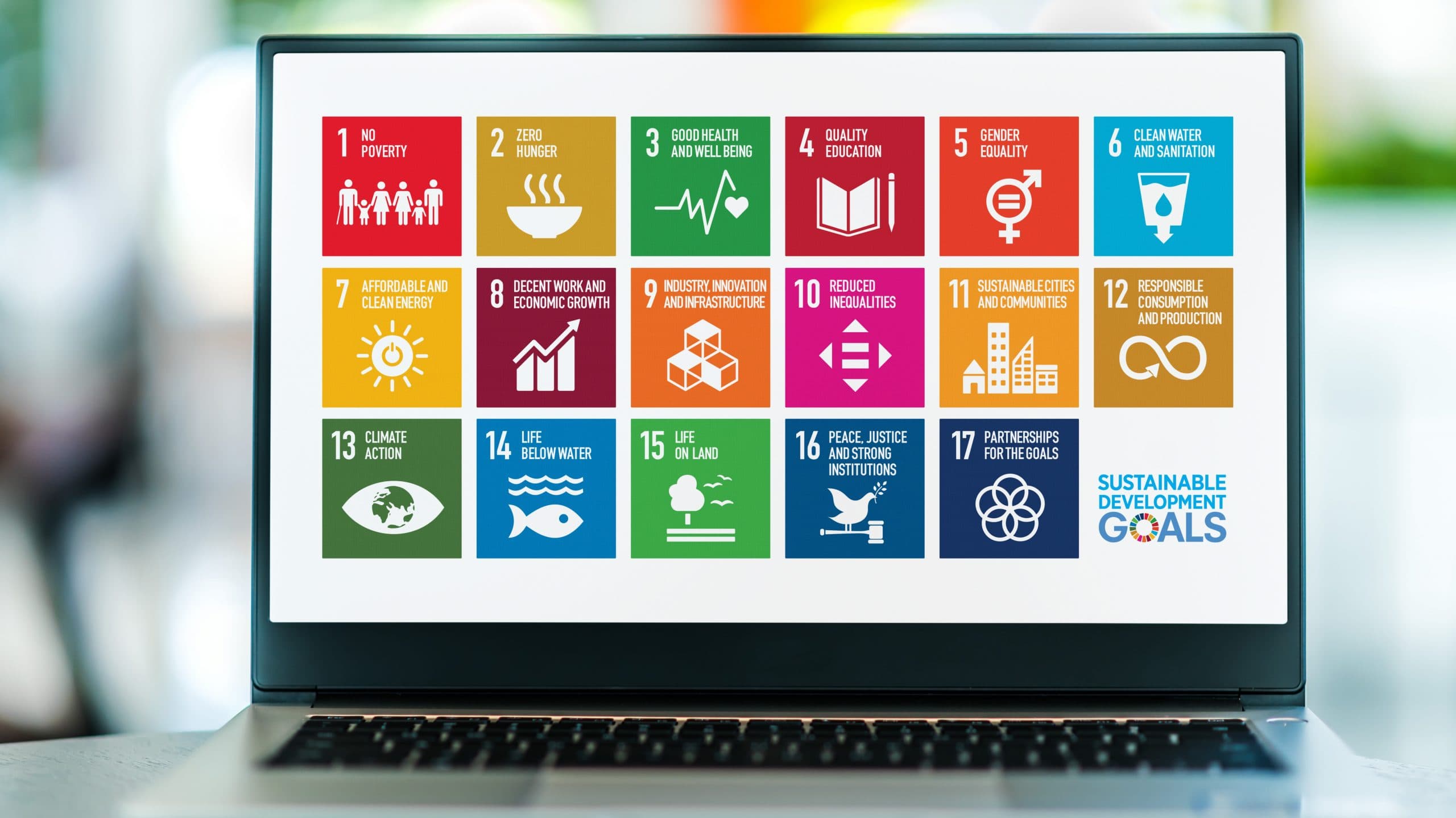 Tracking Sustainable Development Goals in our Boardrooms and Classrooms
