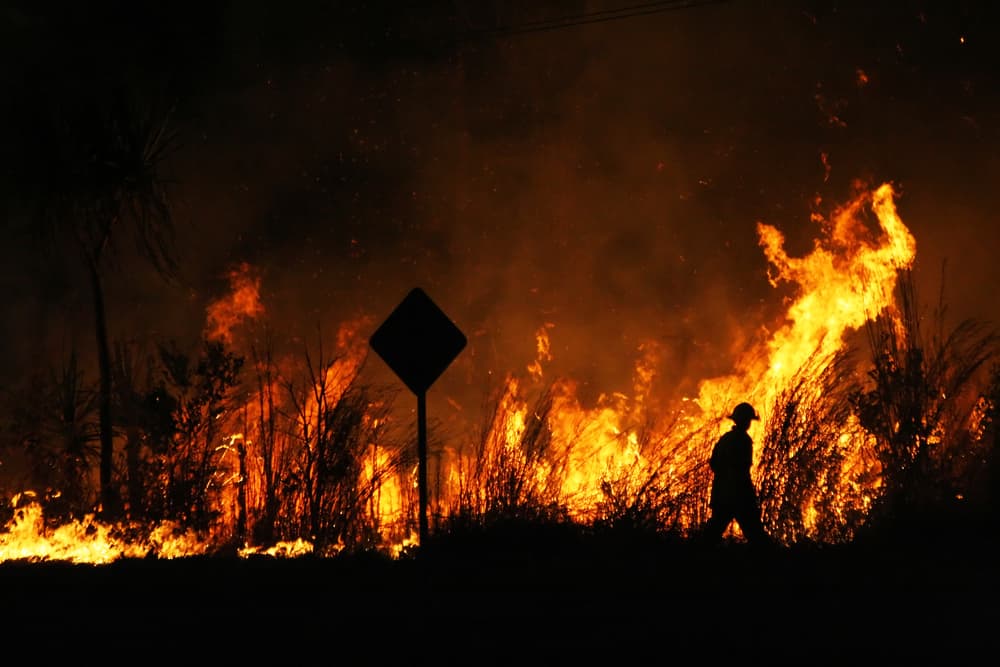 La Nina to Provide Cover From Bushfires. Will The Government Seize the Moment?