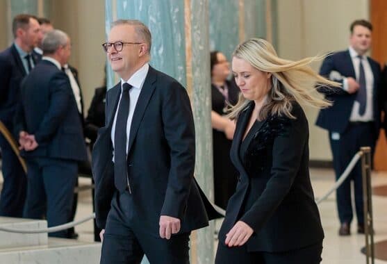 ALP Report card for 2022