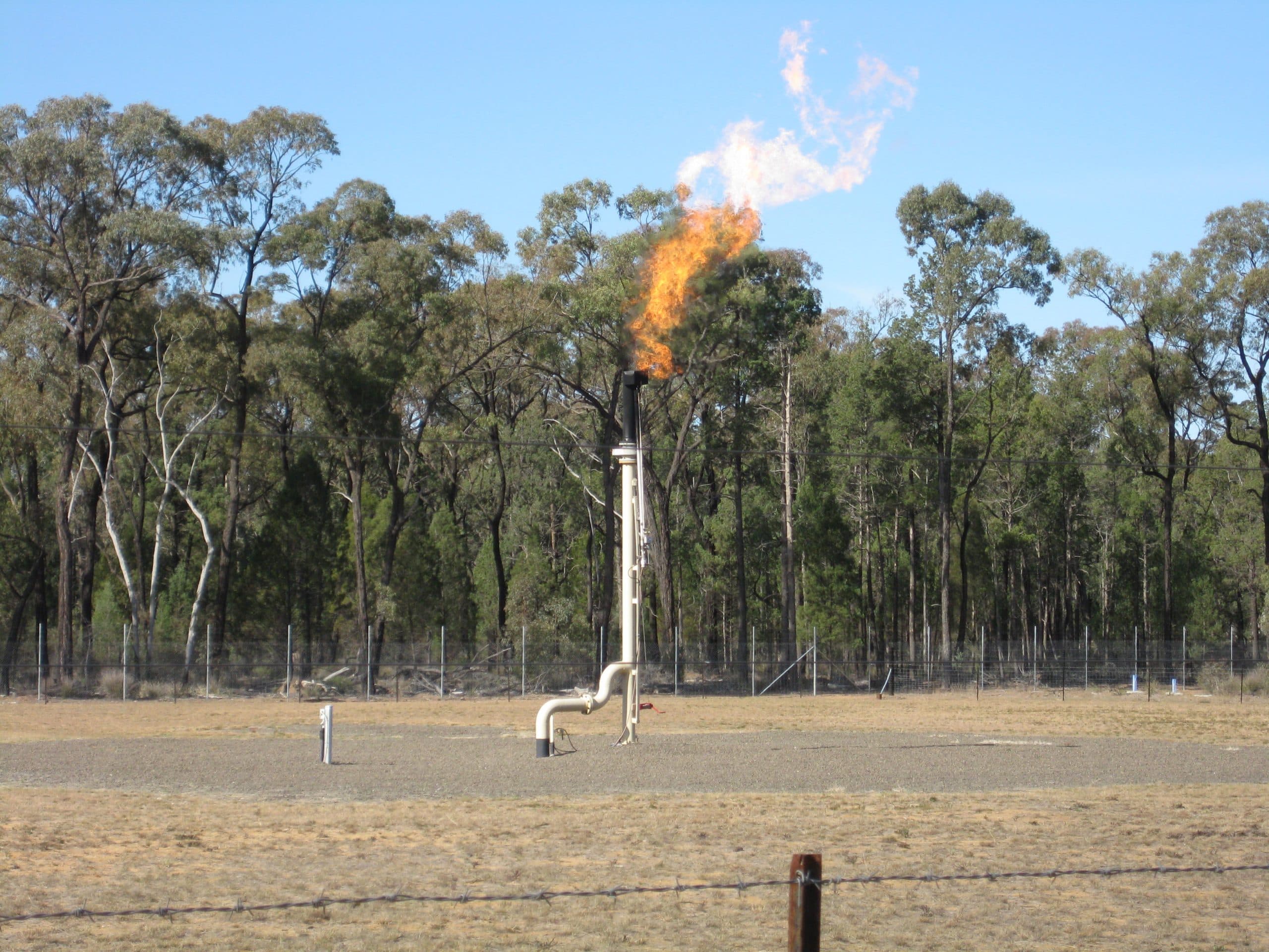 Plibersek Greenlights Gas Expansion