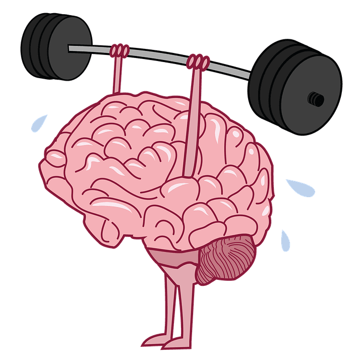 What happens in the brain when we exercise?
