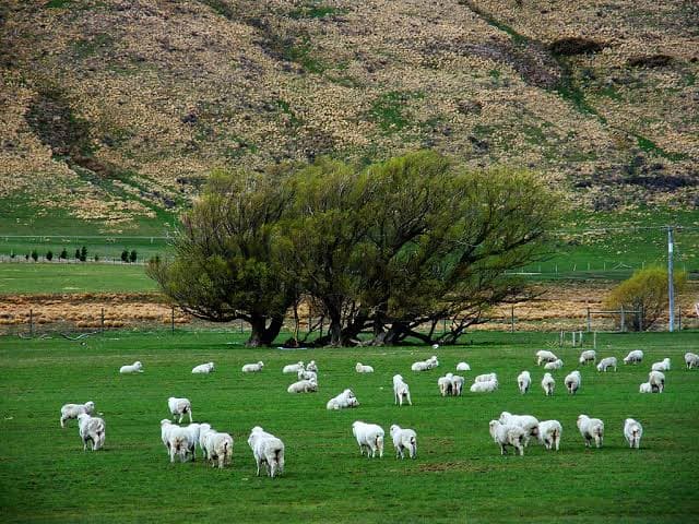 Training on farm productivity for regional NSW