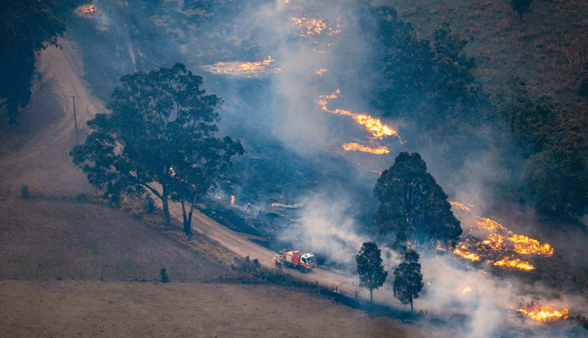 Federal government axes wildlife disaster program