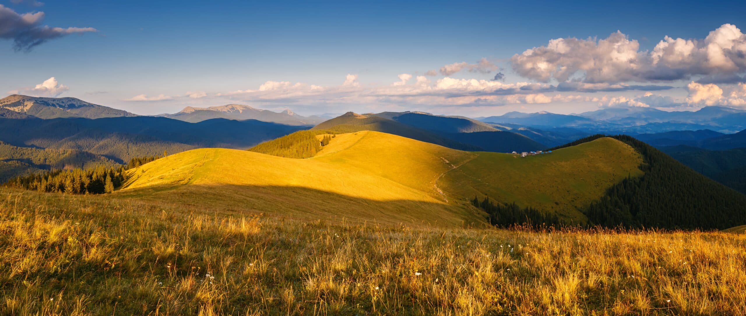 The Spring Counteroffensive