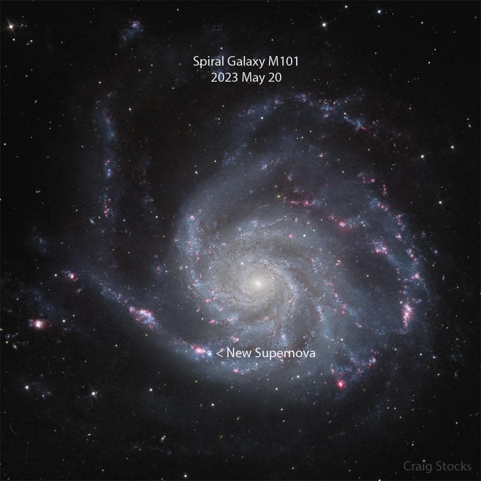 New Supernova in the Pinwheel Galaxy
