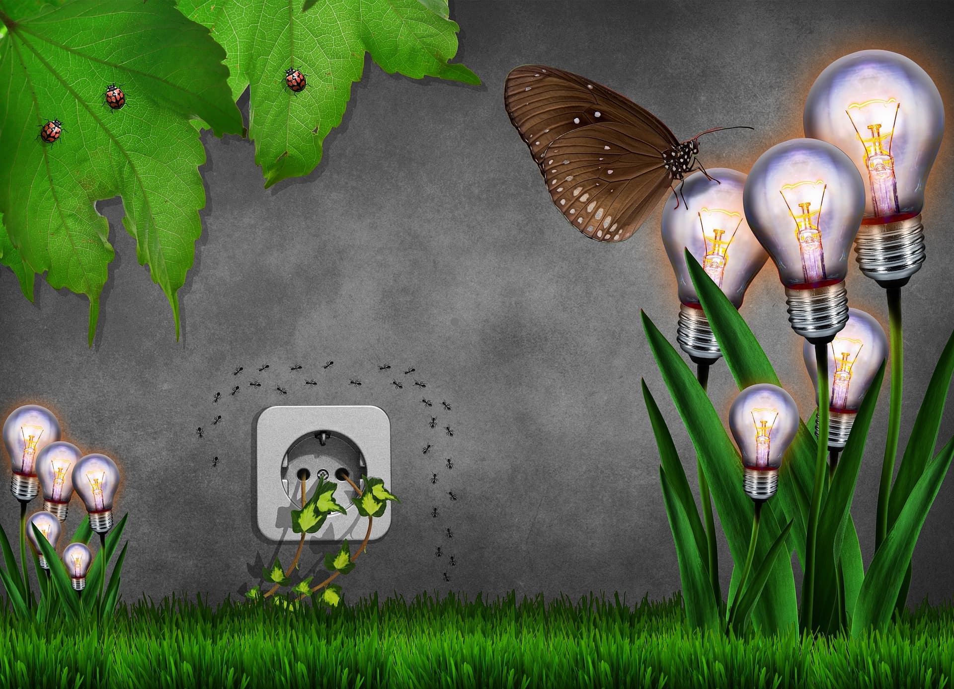 Budget Environment Too Much Fossils