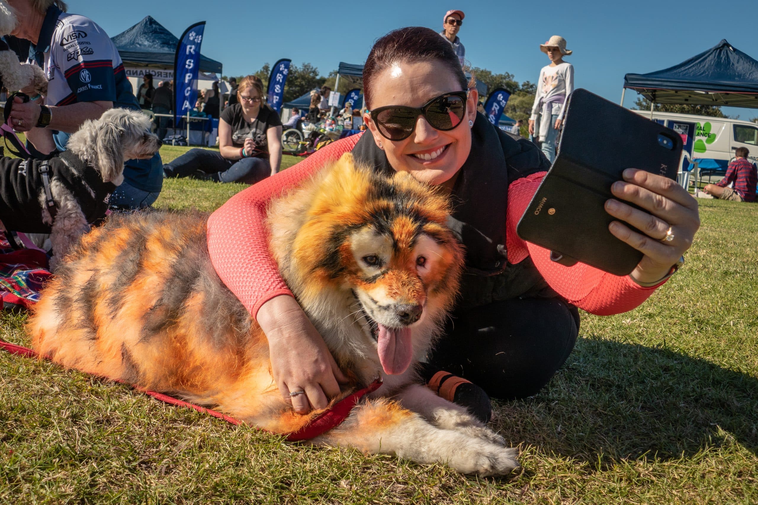 Million Paws Walk with Ben Wilheim