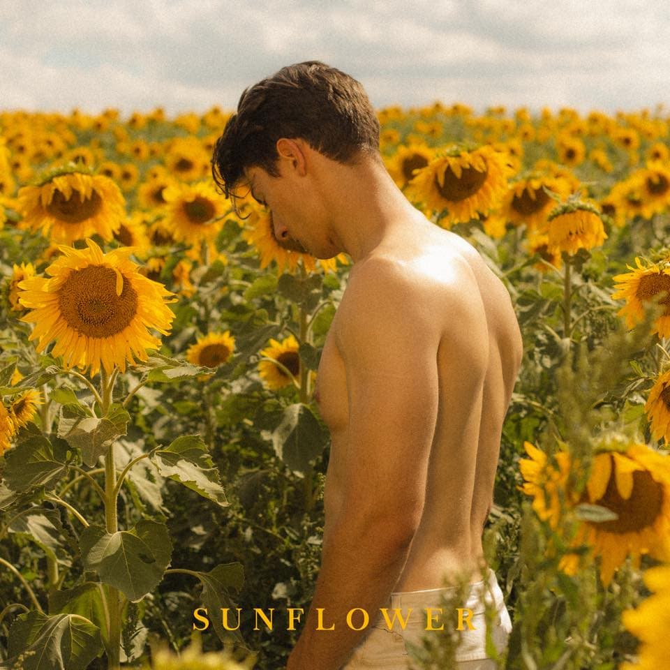Sunflower poster