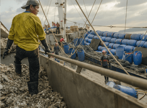 Over 41,000 Victims of Modern Slavery in Australia – New Study Finds