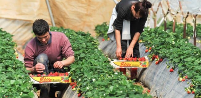 Why migrant workers are more likely to be underpaid