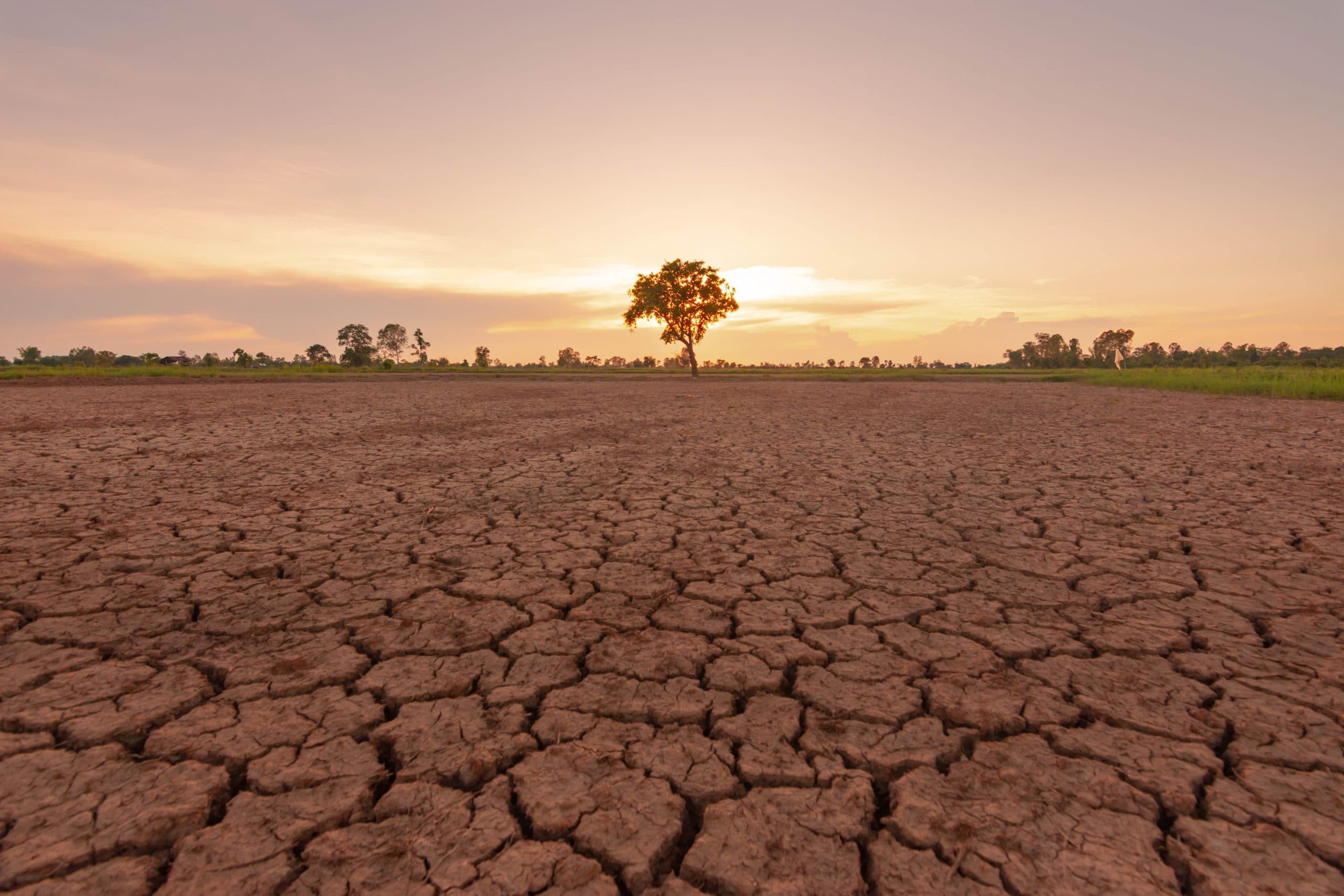 Breaking Climate Records