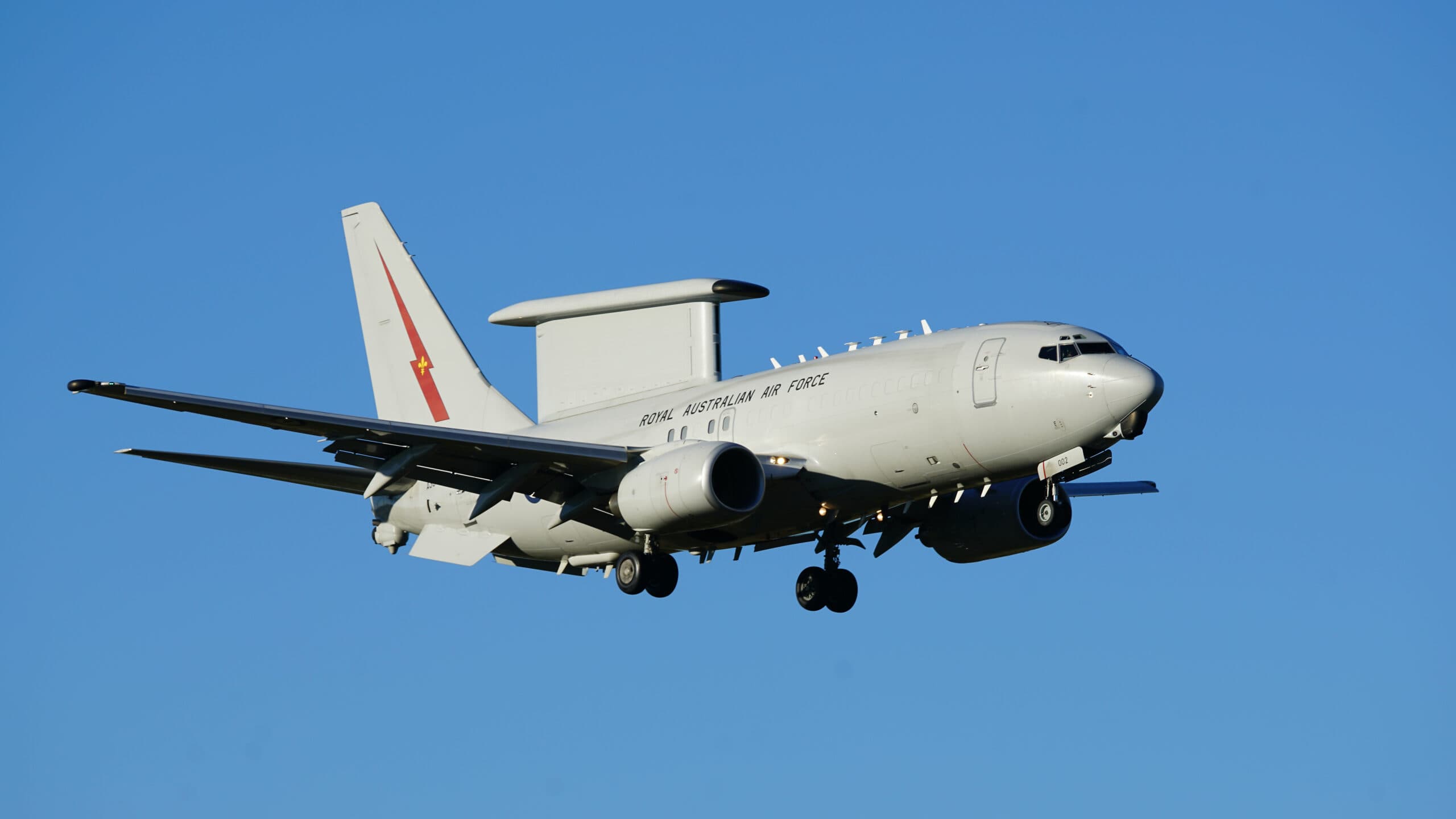 Australian Wedgetail Flies Over Europe